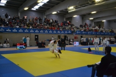 29314097_1754986201189107_5541347933212901376_o_1754986197855774