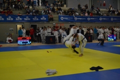 29314837_1754989074522153_1296322353722032128_o_1754989071188820