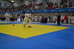 29314959_1754987397855654_3657258742392553472_o_1754987387855655