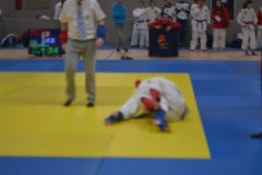 29315028_1755139487840445_4638894400024346624_o_1755139477840446