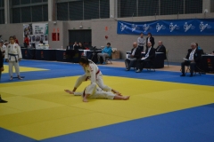 29315075_1754982161189511_1831691616306331648_o_1754982154522845