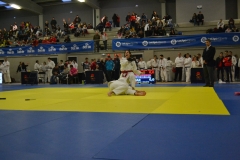 29315143_1754992157855178_8752841752349507584_o_1754992147855179