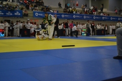 29315208_1754990231188704_5160635697018699776_o_1754990227855371