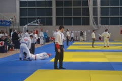 29315239_1755147511172976_2207328425222340608_o_1755147504506310