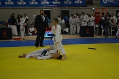 29315240_1754989197855474_209340090441269248_o_1754989184522142