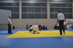 29315312_1755145664506494_3609499758328020992_o_1755145657839828