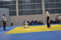 29339518_1755147494506311_8328072080935354368_o_1755147484506312