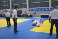 29339727_1755141271173600_8499119776268812288_o_1755141264506934