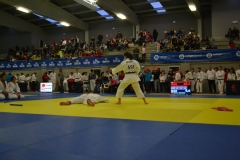 29339761_1754991984521862_8064349032987754496_o_1754991981188529