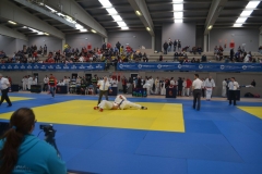 29340366_1755146434506417_6133560898981199872_o_1755146424506418