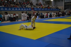 29342170_1754989287855465_9122346735241265152_o_1754989277855466