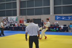 29342192_1755141064506954_3915049594395820032_o_1755141057840288