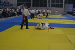 29342280_1755142991173428_5166086212380786688_o_1755142981173429