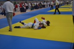 29342452_1755139591173768_5524961632251281408_o_1755139581173769