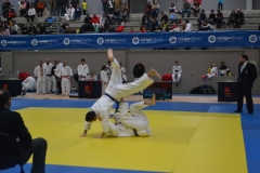 29356700_1754982307856163_6169269613562429440_o_1754982301189497