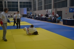 29356718_1755139521173775_5570018532130816_o_1755139514507109