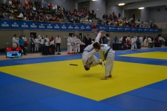 29357003_1754989651188762_6136850904059478016_o_1754989647855429