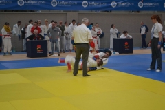 29386651_1755144964506564_9002291962547535872_o_1755144961173231