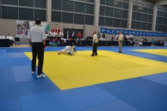 29433034_1755148711172856_6254250897338007552_o_1755148707839523