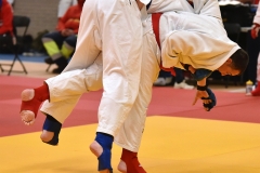 Foto_03