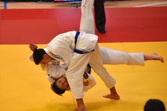 foto_03s