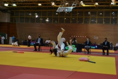 DSC_0152