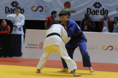 DSC0241_01