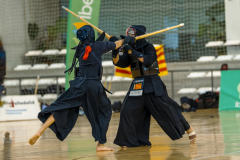 FFA5397