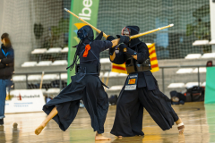 FFA5397_1