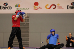 0298F091-56E0-44AC-ACD5-FE901BEDD0B7_1_105_c