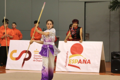 066AF6CE-77A2-48A8-8AF7-B698459F2EF4_1_105_c