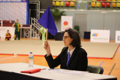 0C0A755F-7ACD-4E0C-AE5F-02E618C35377_1_105_c