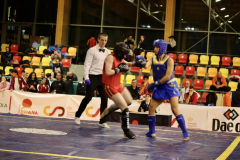 12174F40-D0D8-40DF-9FD7-0E90538A9FA3_1_105_c