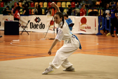 23882DBD-AFD0-43BA-BAF6-F6F0D6C796BA_1_105_c