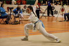 32D388C9-B479-4FDC-817C-0E5C0D93D21F_1_105_c