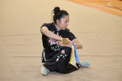 435EC4F4-63E0-44EE-B38D-149A1E0E1F88_1_105_c