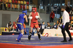 638099C8-FDAF-4AB5-B04B-70F470F18A72_1_105_c