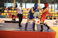 723438E1-A0FC-4174-8E8C-92790DDB1D73_1_105_c