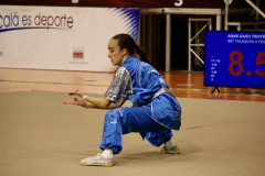 728D19B6-7B50-4E93-A2FA-A58C70F41568_1_105_c