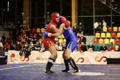 763FCF9F-0487-4143-B716-926A610C7083_1_105_c