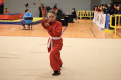 77E4DC56-C807-4511-90D8-8D3D1FC44061_1_105_c