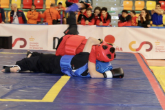 7C6564A7-CE1D-43D1-B1AA-FF963717C823_1_105_c