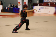 83C16DC3-6543-4C71-9BE9-D93F0B9C71EA_1_105_c