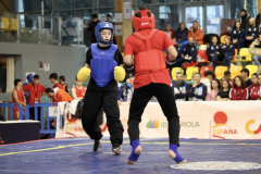 8469FE92-ED34-4D39-BFBC-D35E0AE170FE_1_105_c