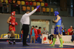 851D7A32-A3E2-4381-9D59-2611A1E50F63_1_105_c