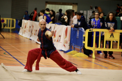 8B10E2B9-0F1F-404C-9ABD-D882E46CDF66_1_105_c