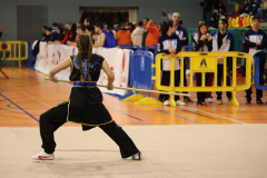 91DD4BAA-23A1-4C67-87E5-CCC4703D3418_1_105_c