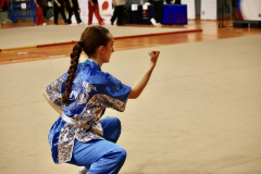 9DC3D3DA-7CF2-4067-90EE-194FD190A7BE_1_105_c