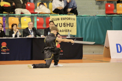 A93999B2-0145-4430-BED4-2BF3844C8EE1_1_105_c