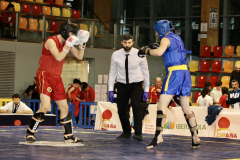 C9D96AFF-D53F-48C2-AE67-6A98CF6B2A8F_1_105_c